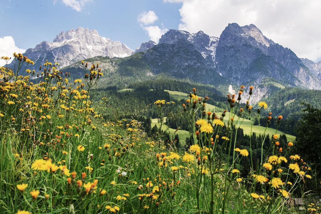 Appartementhaus Salzmann Leogang Zewnętrze zdjęcie